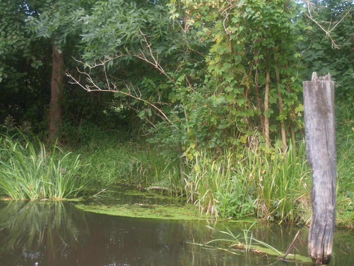 Wassermannapartments Burg im Spreewald Eksteriør billede